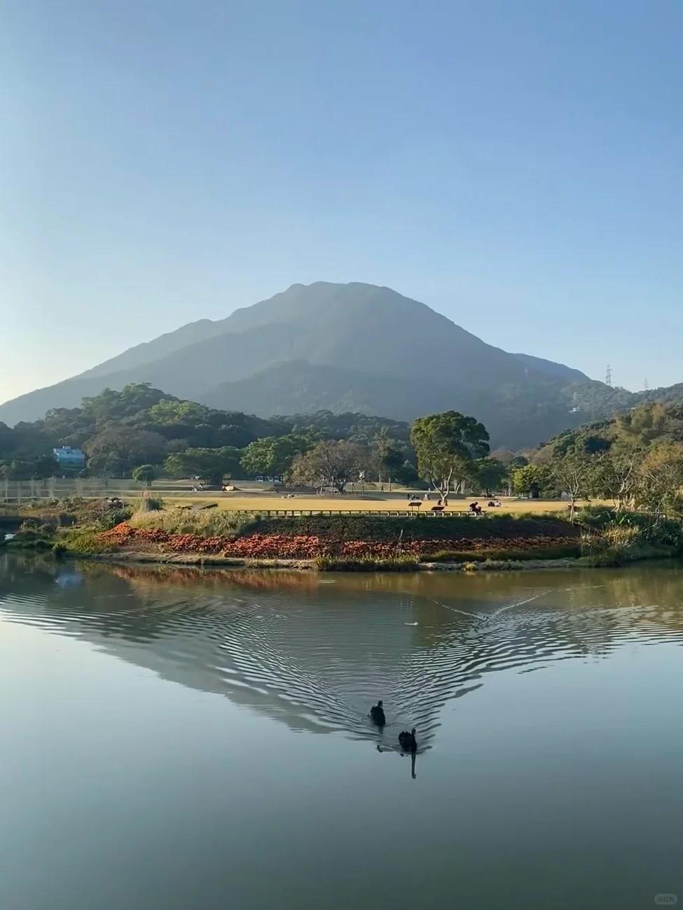 深圳🌊是一座被严重低估的旅游城市