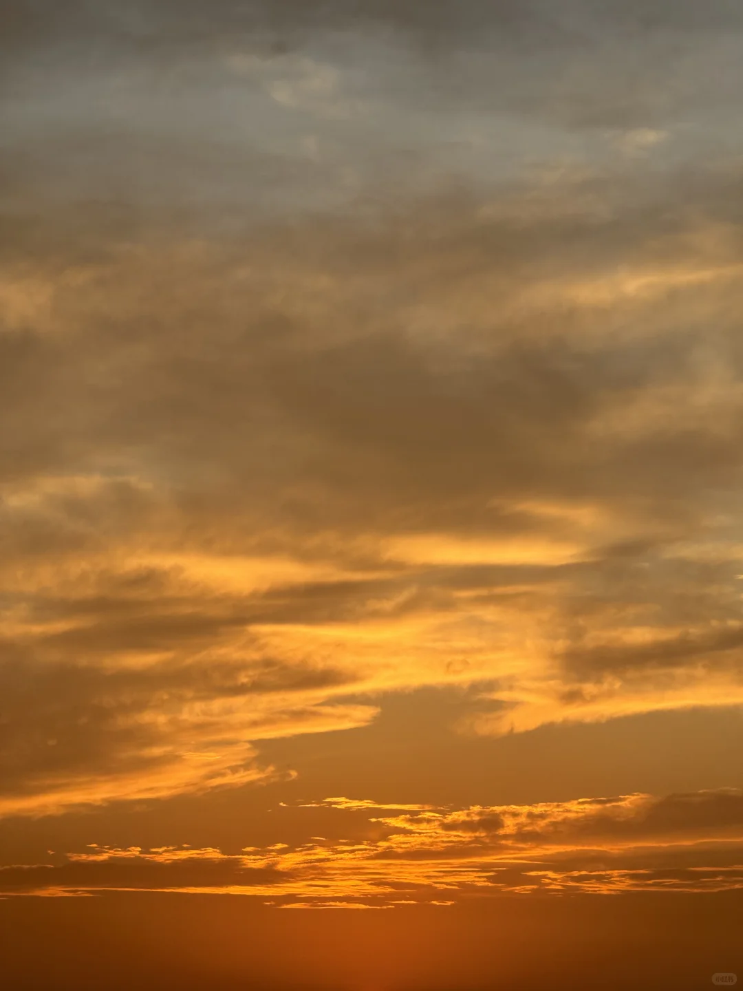 东莞·在海边看日落的18个瞬间｜live photos