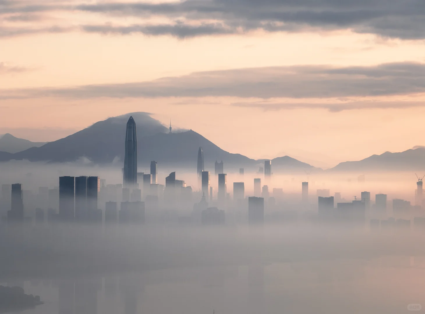 不敢想象45年前的今天，这里还是一片滩涂