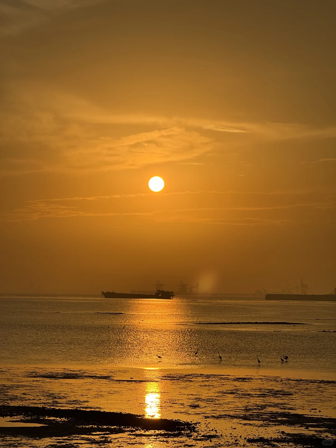 东莞·在海边看日落的18个瞬间｜live photos