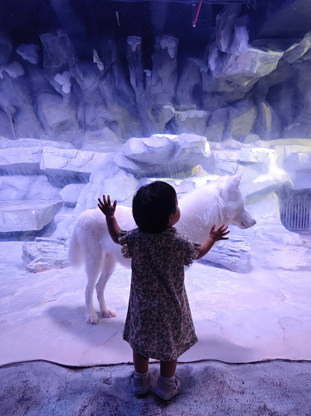 不允许你不知道❗❗广州遛娃天花板！