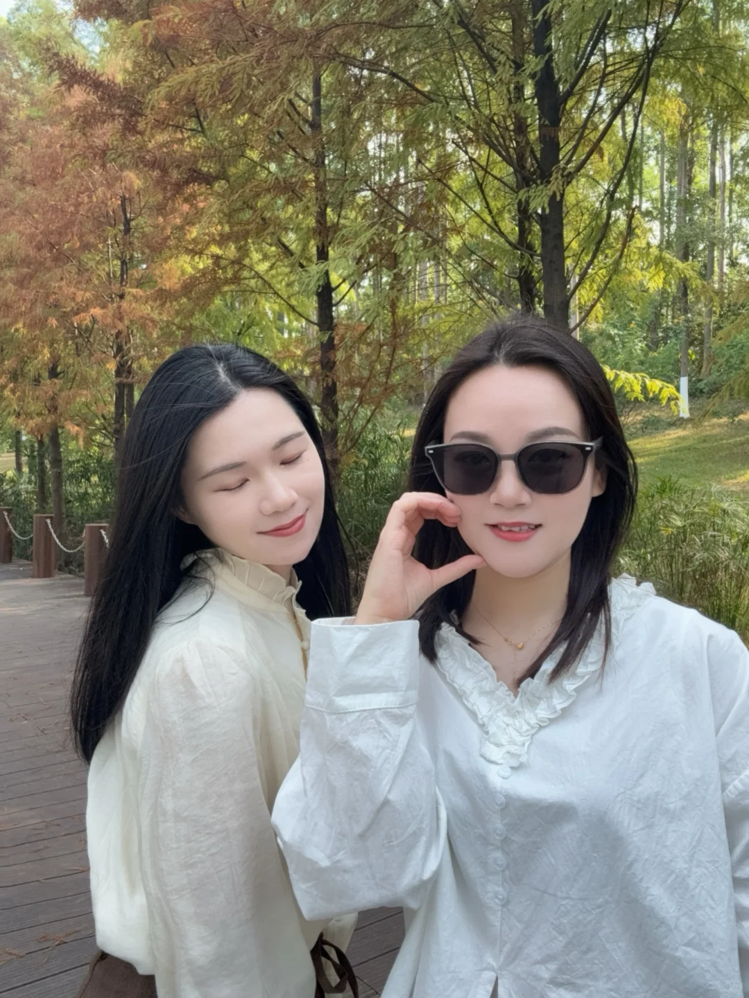 东莞的冬，藏在落羽杉的绯色里🍂