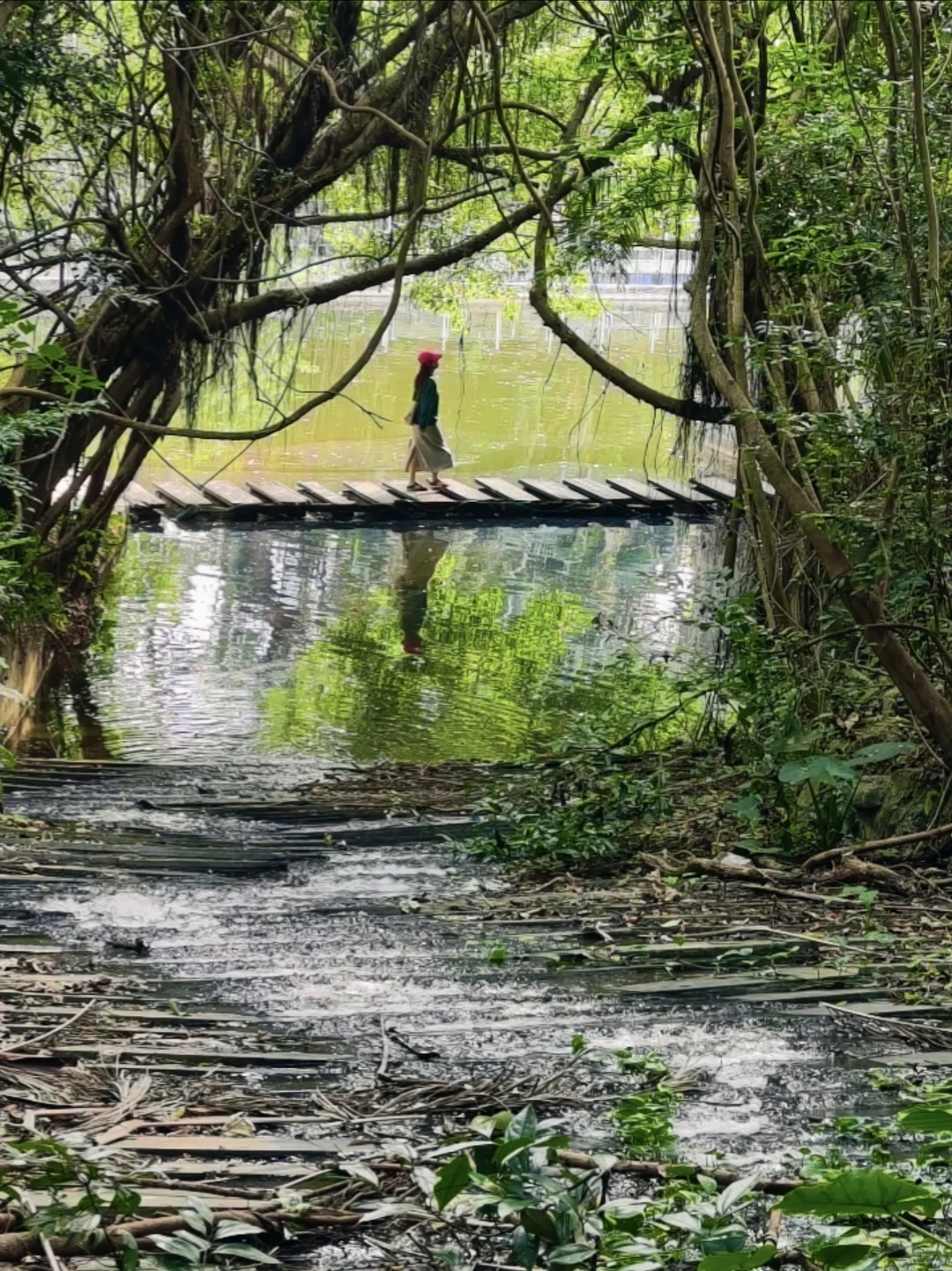 免费｜深圳18个出片的地方（附定位路线）