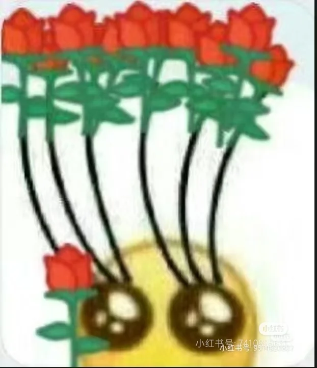 有没有东莞同好扩列