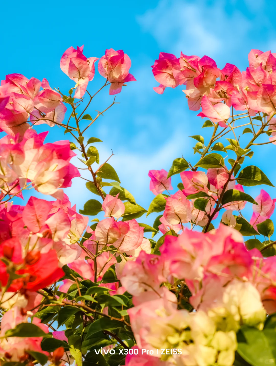 这不是春天，是12月的广州啊！附机位