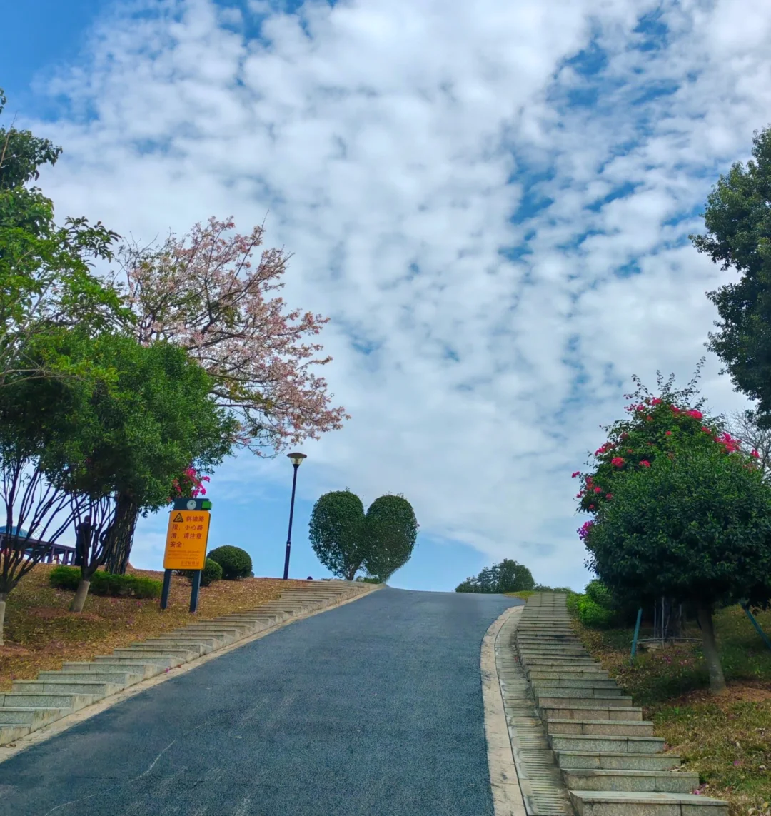 东莞植物园游玩攻略｜含网红爱心树打卡指南
