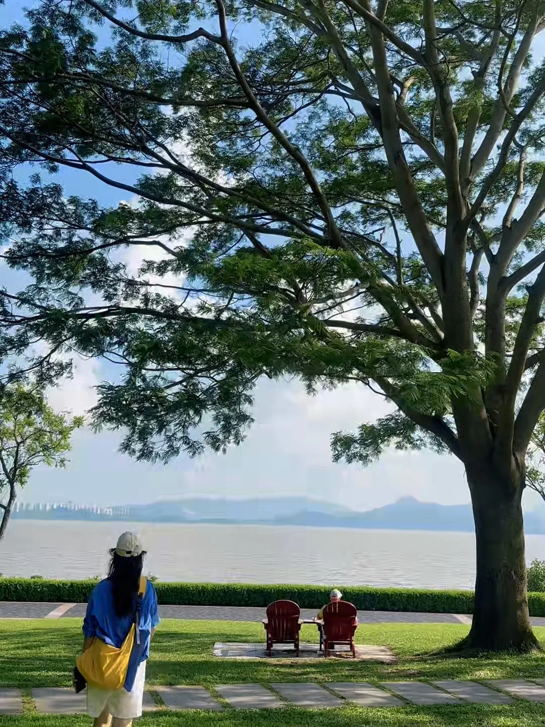 免费｜深圳18个出片的地方（附定位路线）