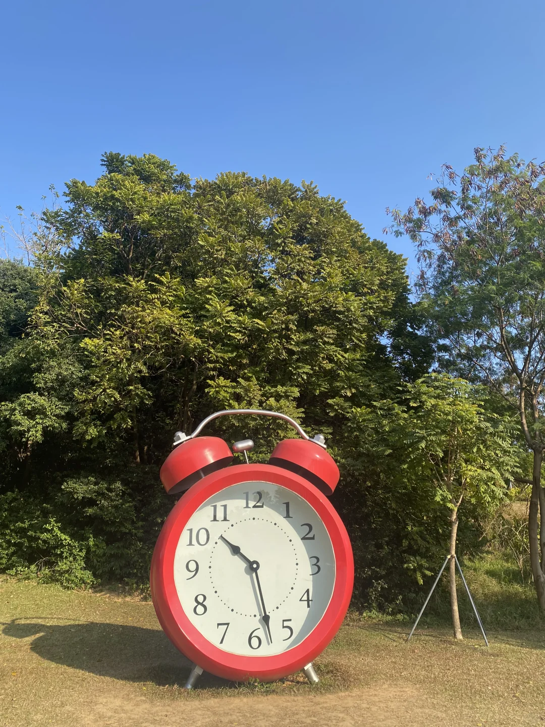 深圳🌊是一座被严重低估的旅游城市