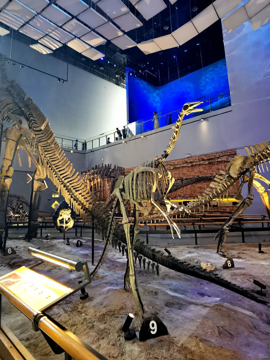 不愧是流放之地