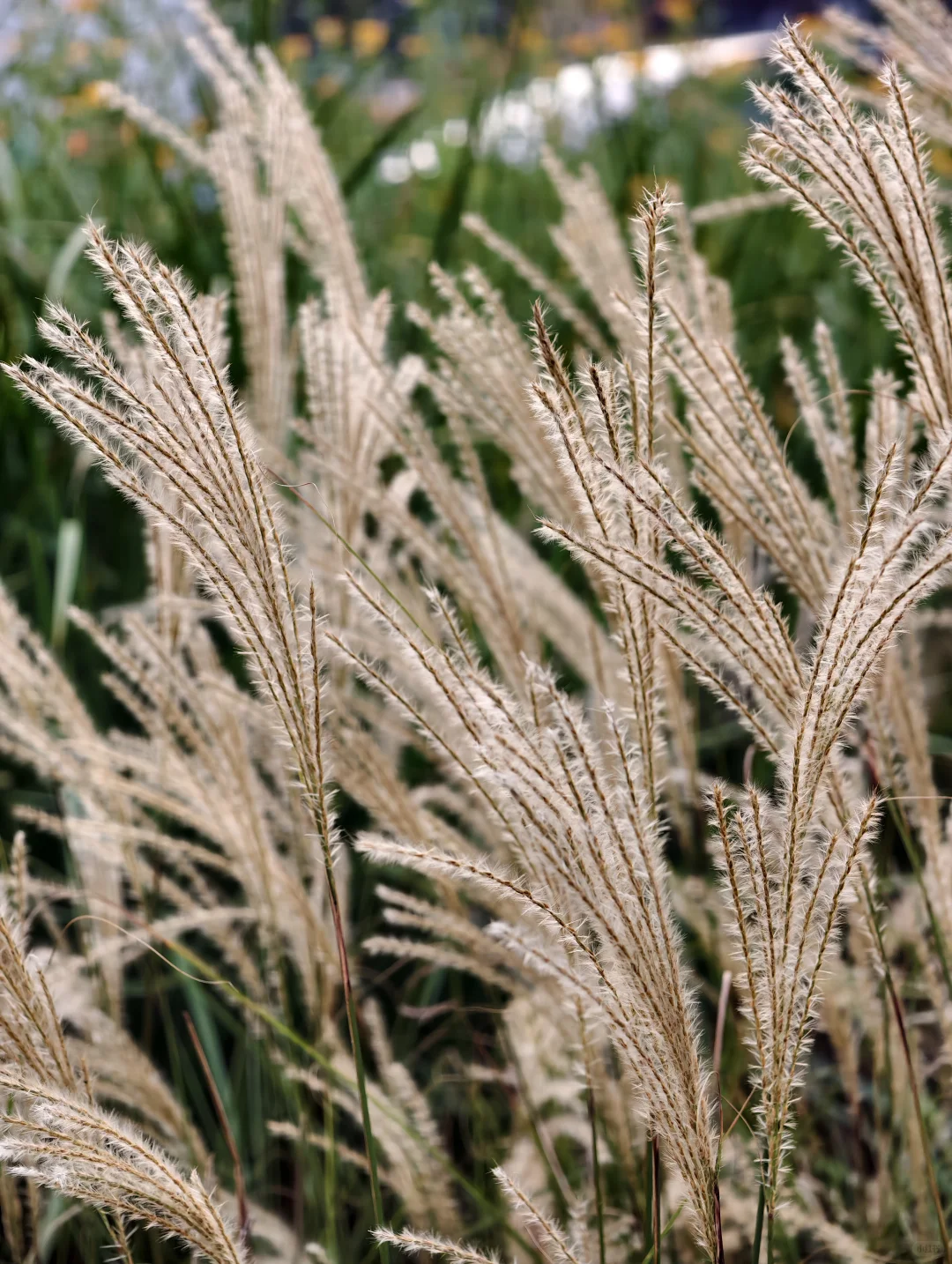 广州新地标｜船台1914拥抱无界珠江