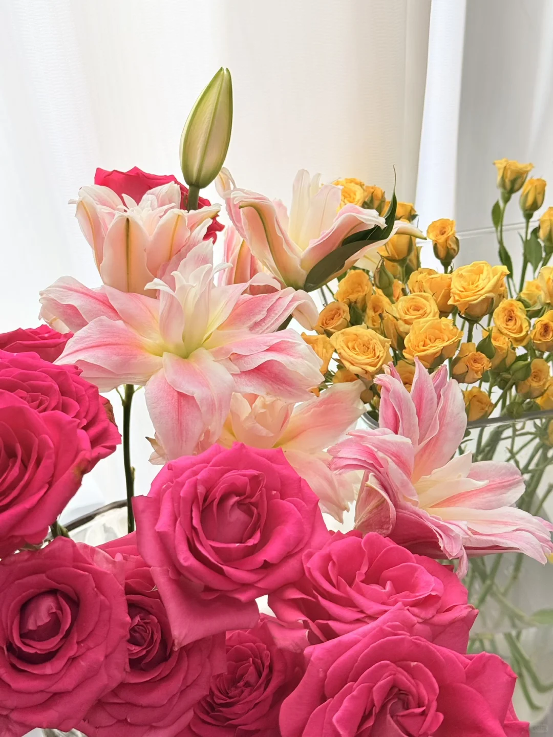 东莞的东北人在哪啊🥹