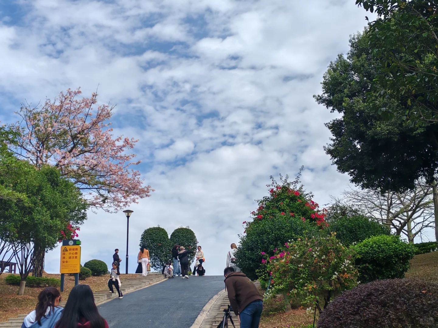 东莞植物园游玩攻略｜含网红爱心树打卡指南