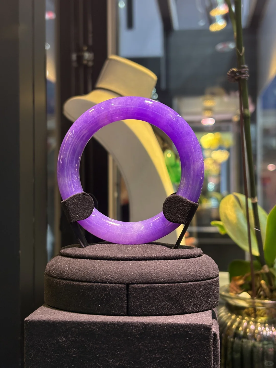 深港实习第一站——深圳会展中心