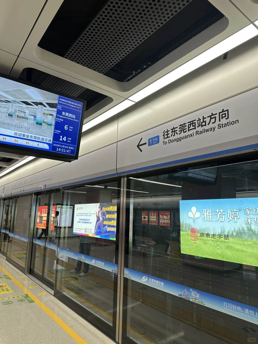 也算是进城了吧，这个季节的东莞真舒服