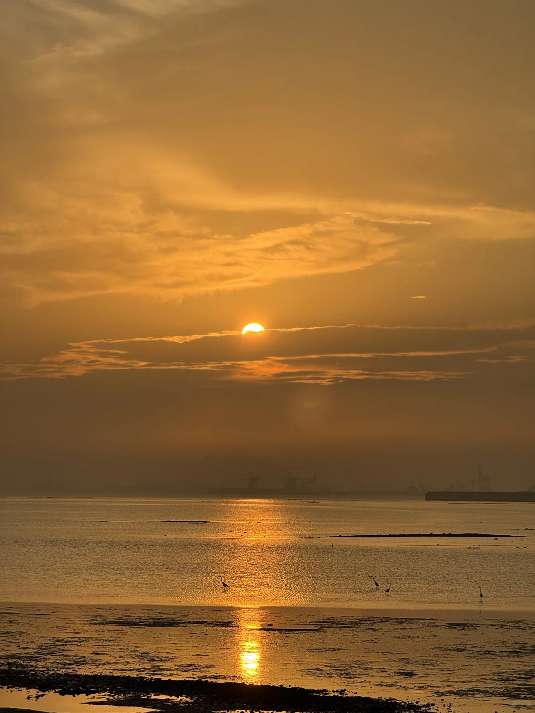 东莞·在海边看日落的18个瞬间｜live photos