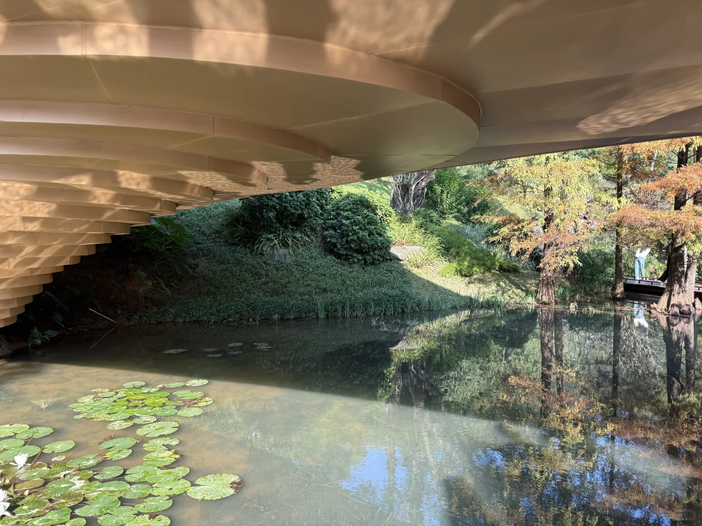 我推荐每个在广州的朋友立刻马上去