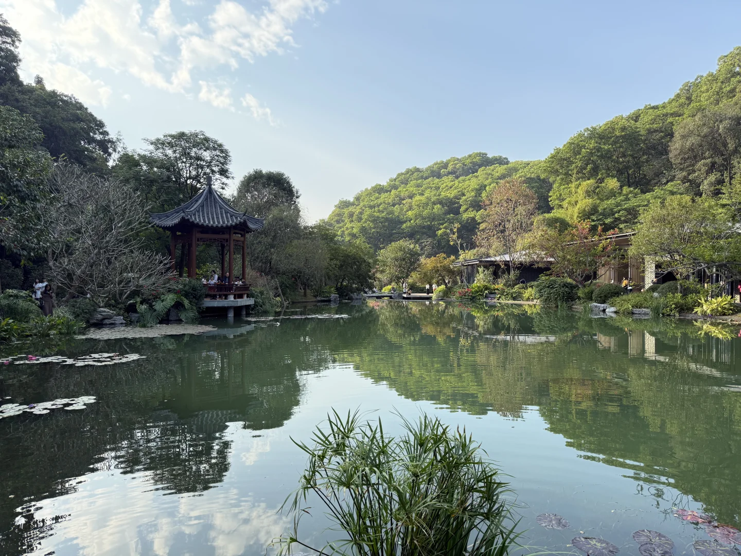 我推荐每个在广州的朋友立刻马上去