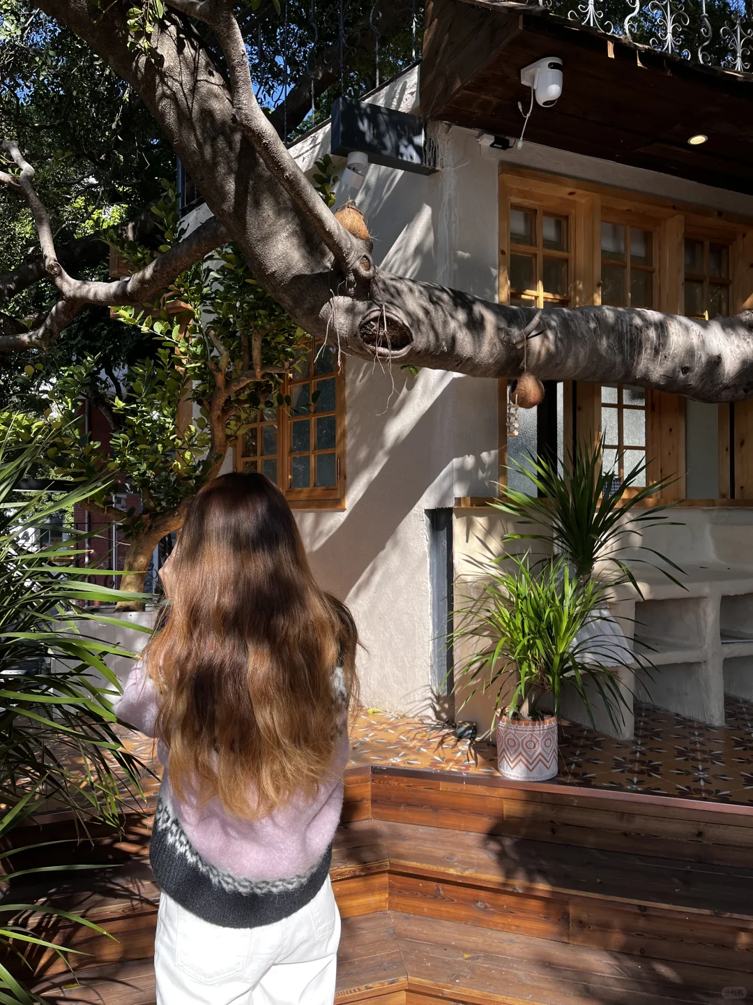 广州🌳🌳超好拍的独栋树屋咖啡