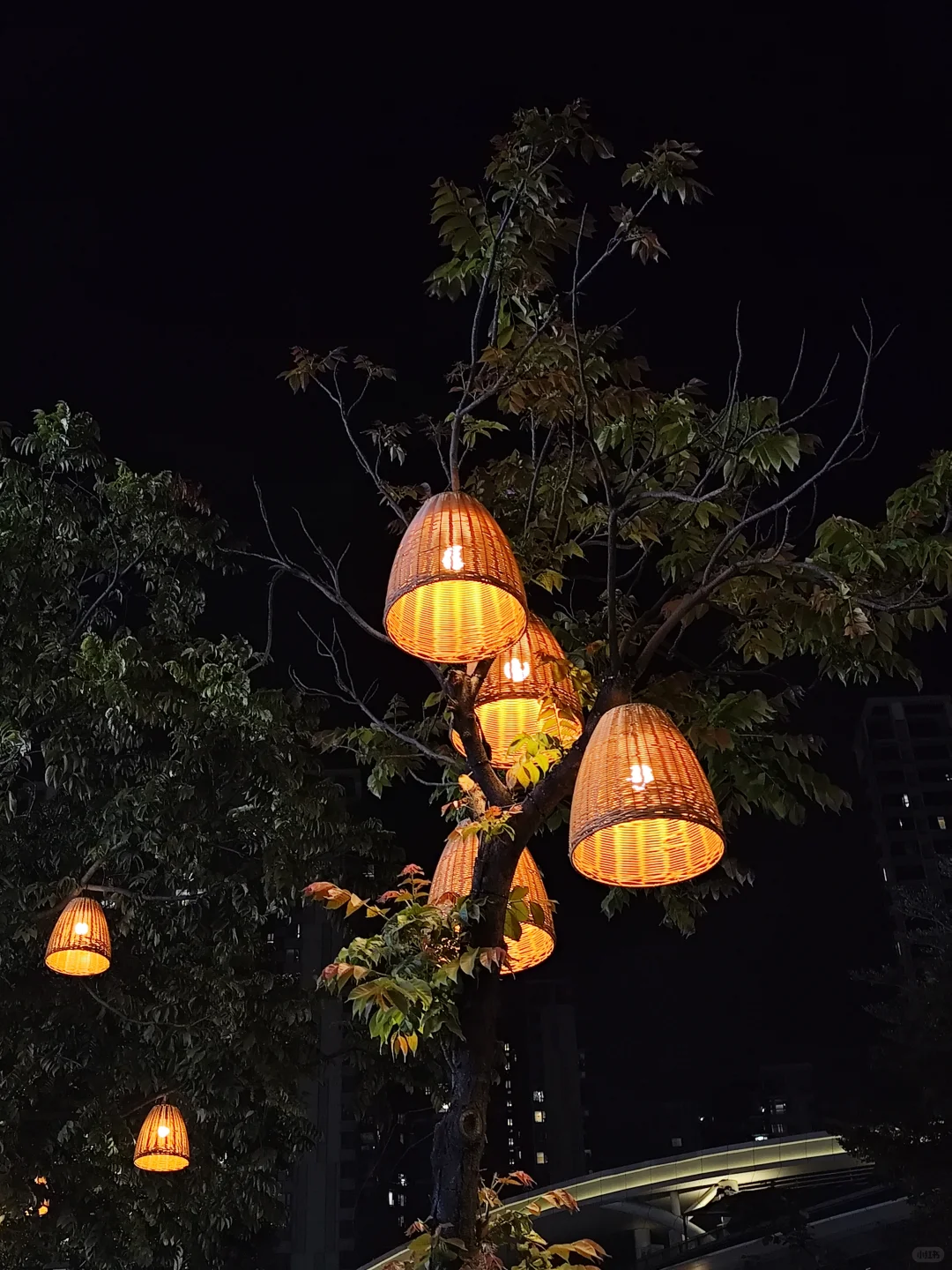 好喜欢广州这两个月的天气啊，真的太舒服啦