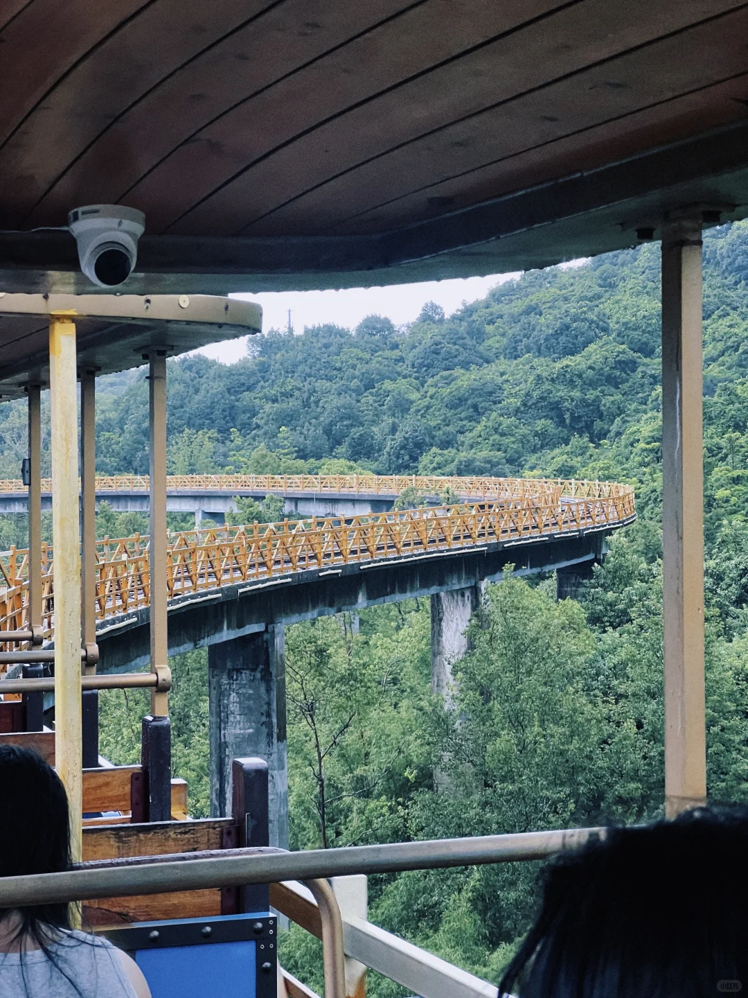 没想到！在深圳也能骑着小火车进雨林🌲