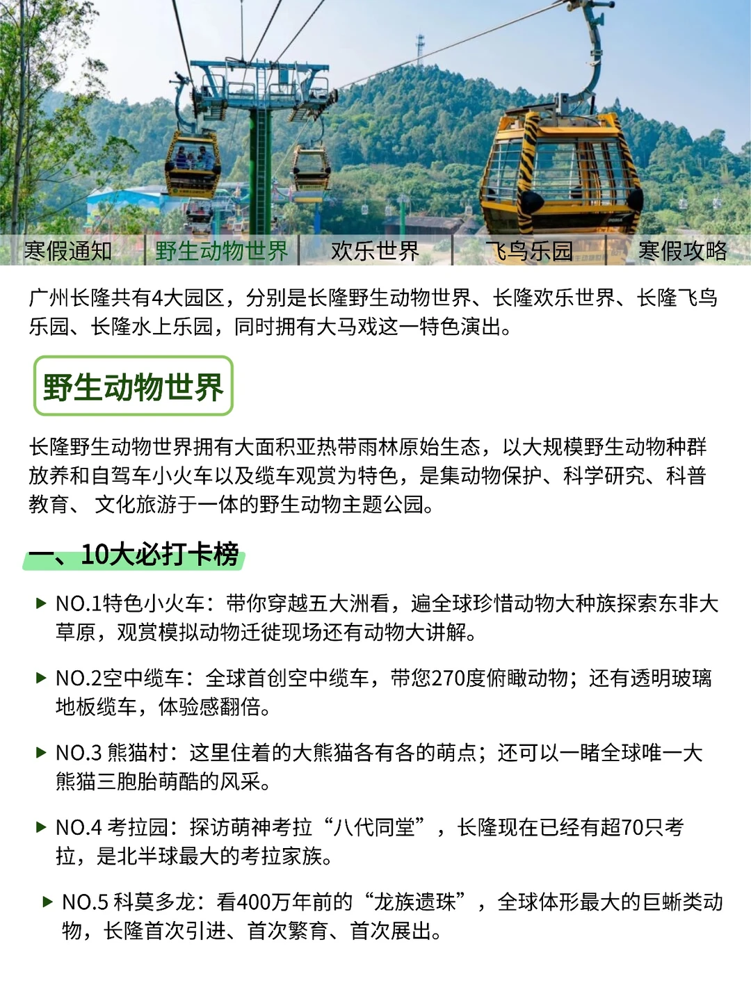 寒假玩转广州长隆｜园区攻略+路线推荐‼️