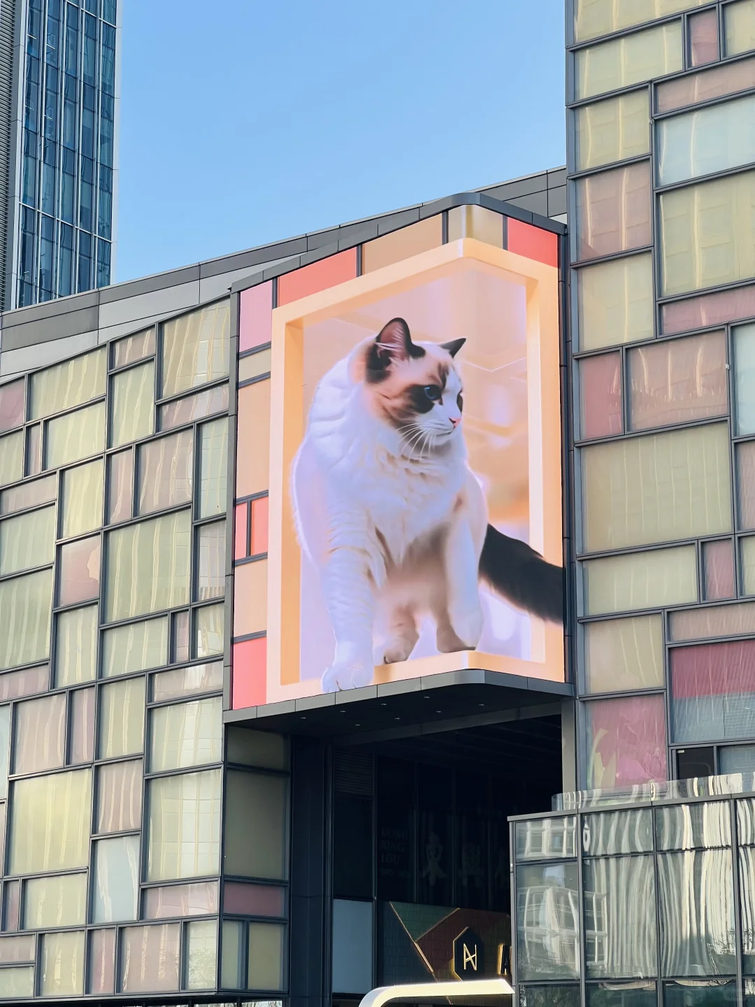 深圳新地标，深圳湾万象城二期，太好拍了！