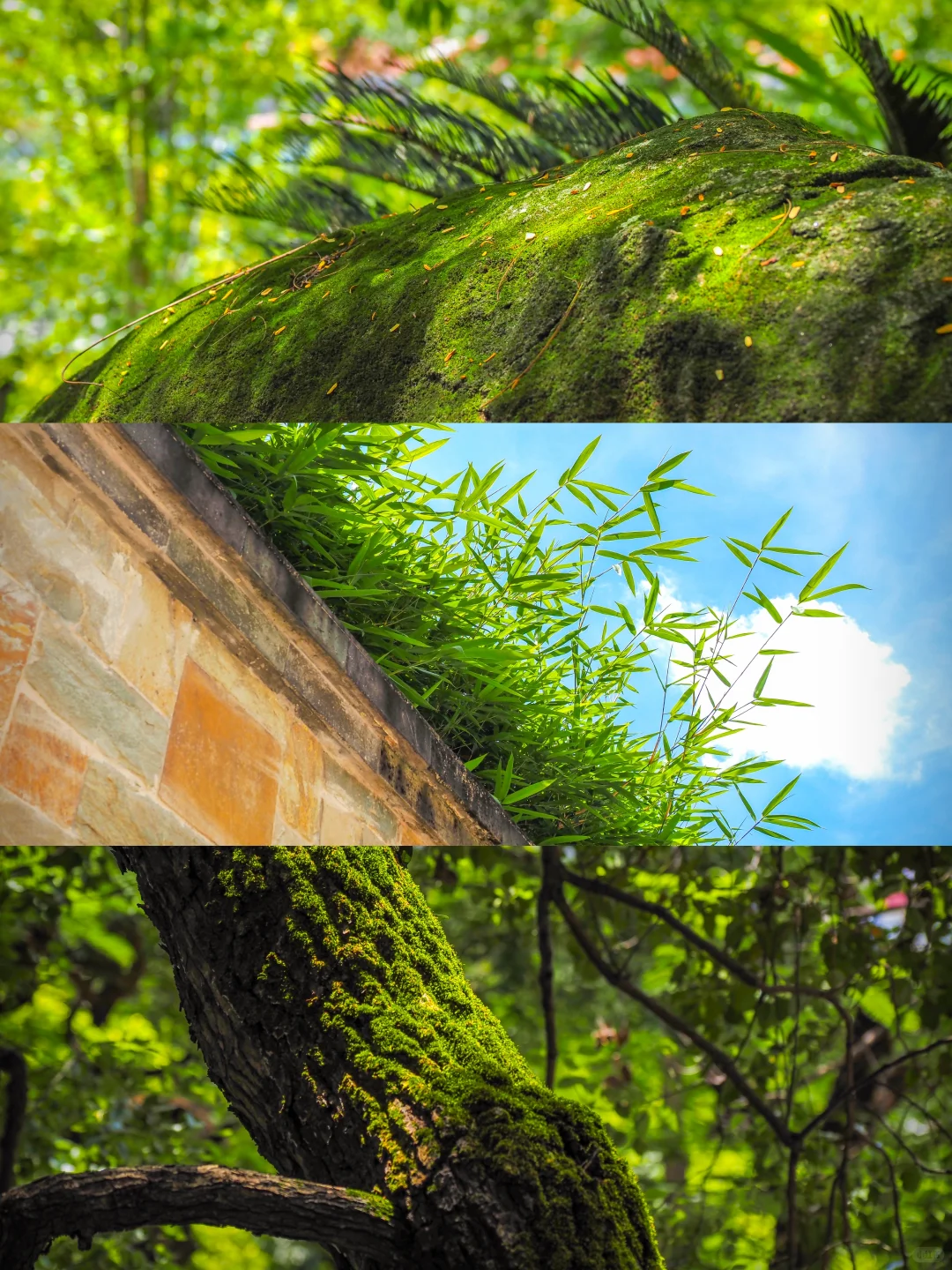 真的！人少景美的4A治愈系宝藏地