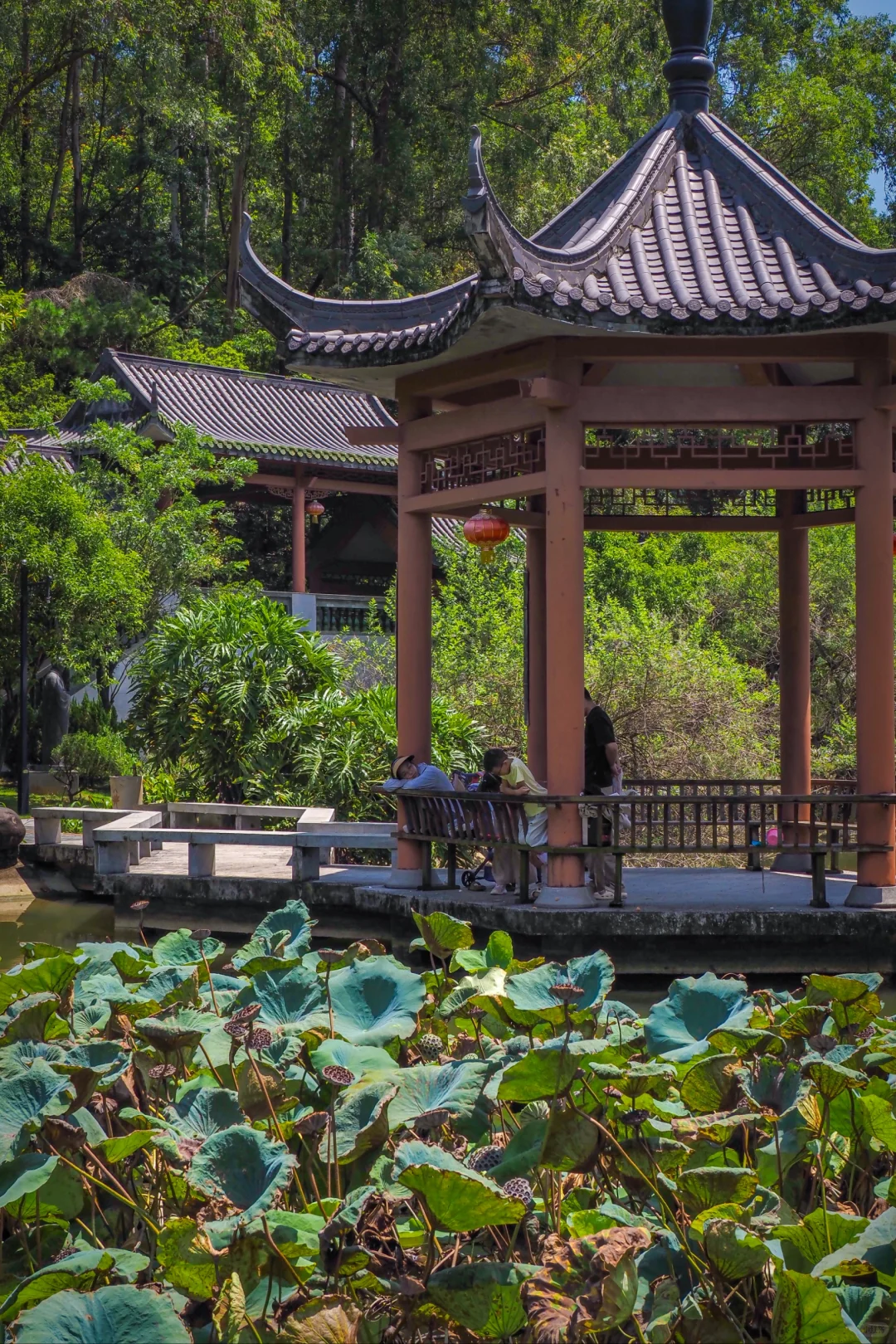 真的！人少景美的4A治愈系宝藏地