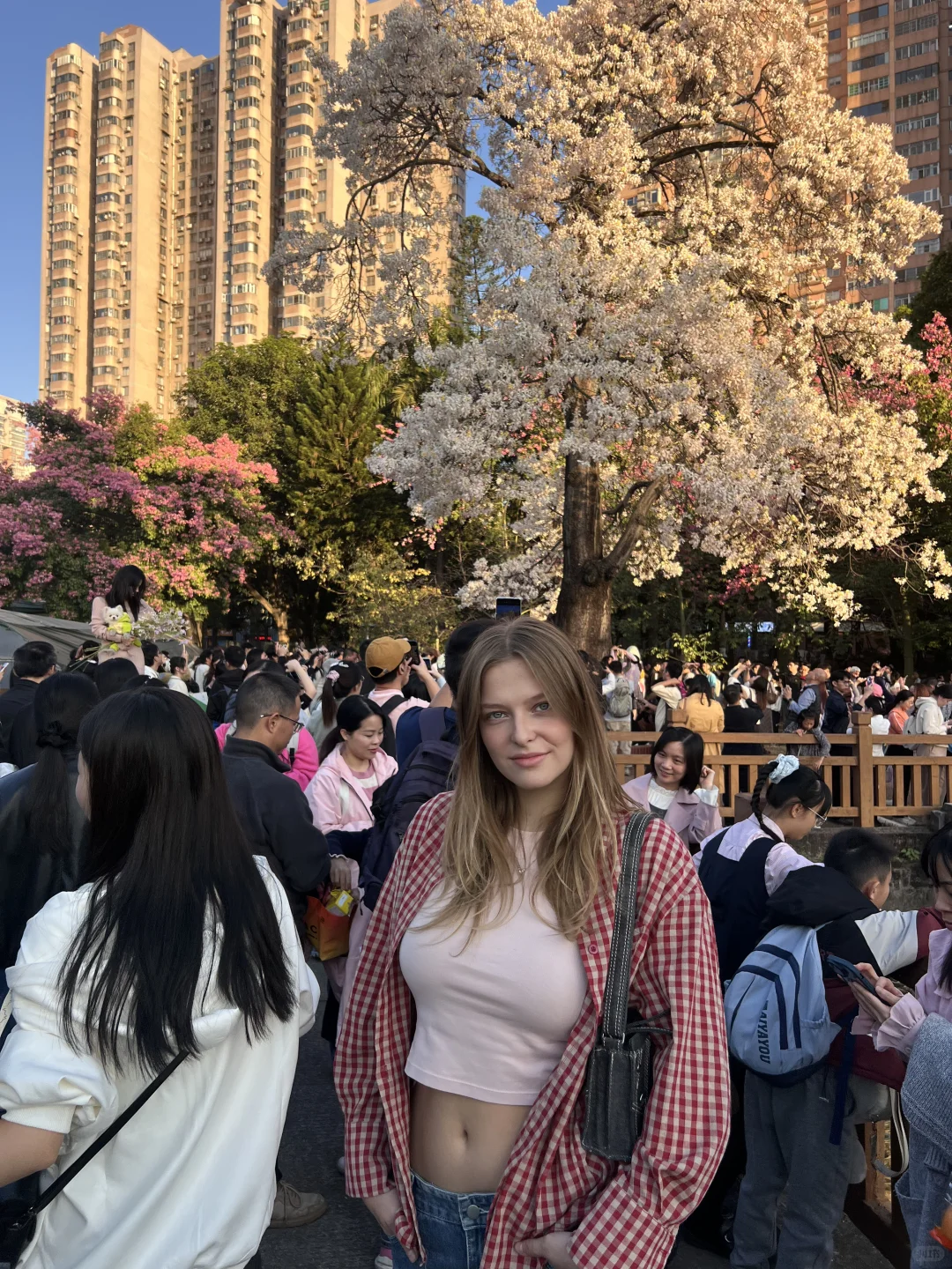 花开了的时候在广州