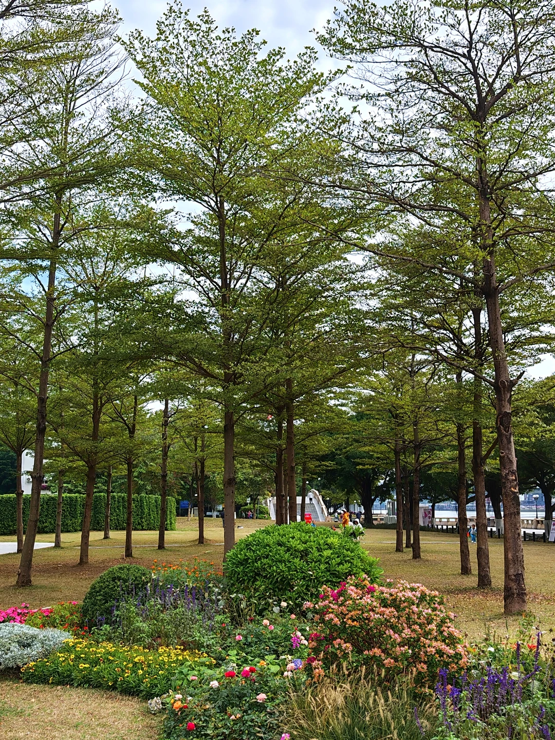 在广州最贵的地方晒太阳，是什么体验？