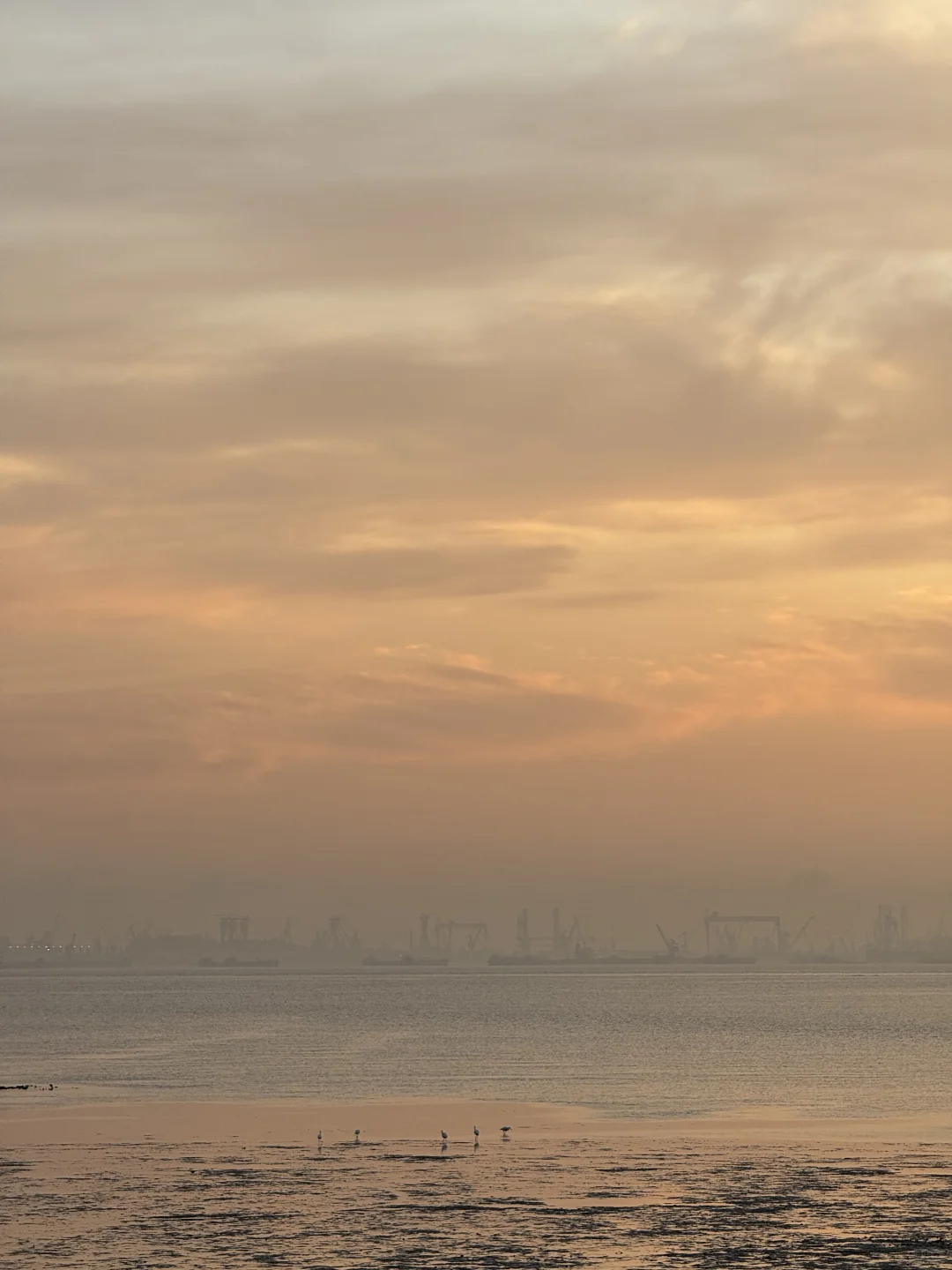 东莞·在海边看日落的18个瞬间｜live photos