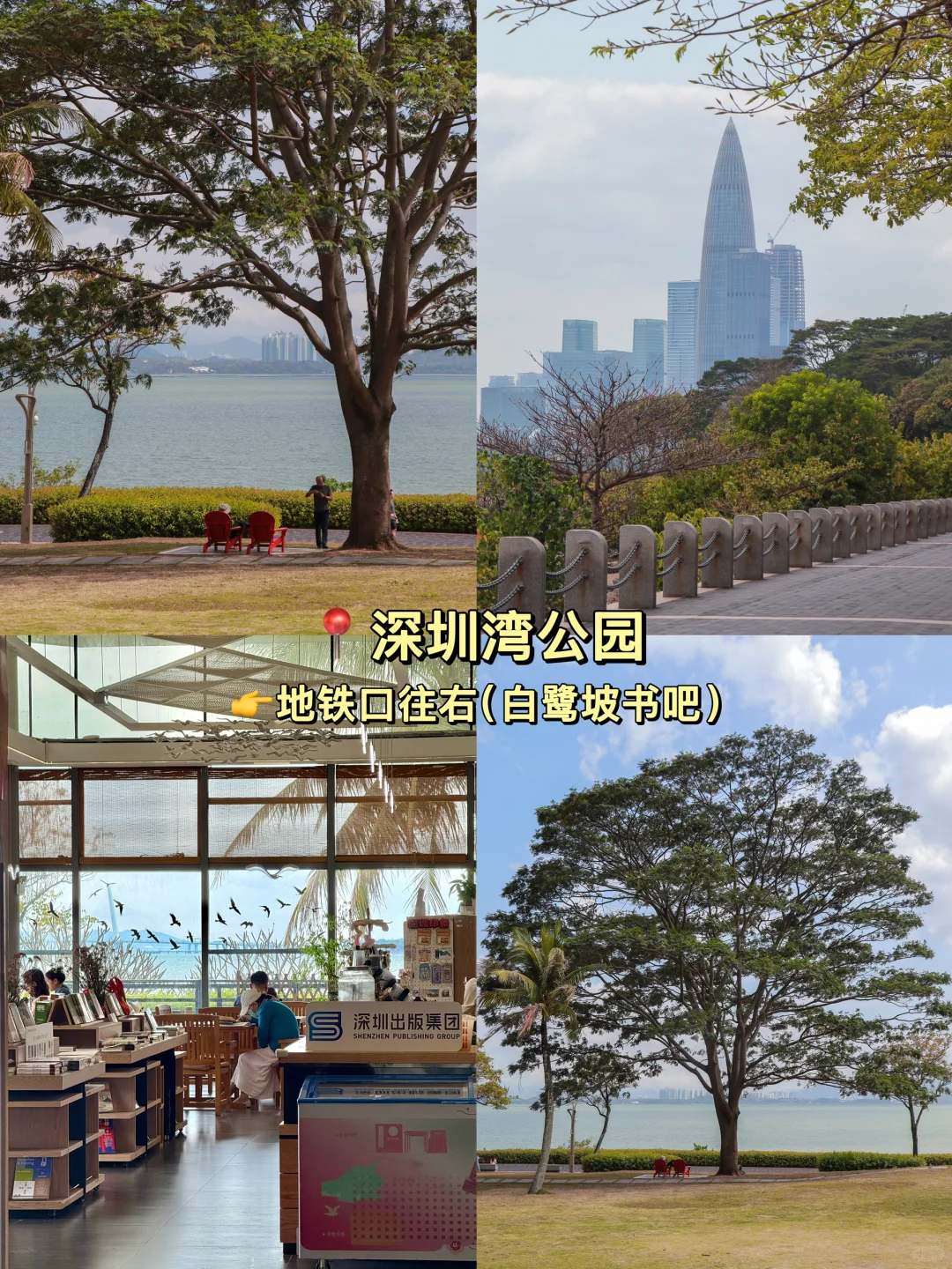 📍深圳Citywalk｜经典一日游路线攻略