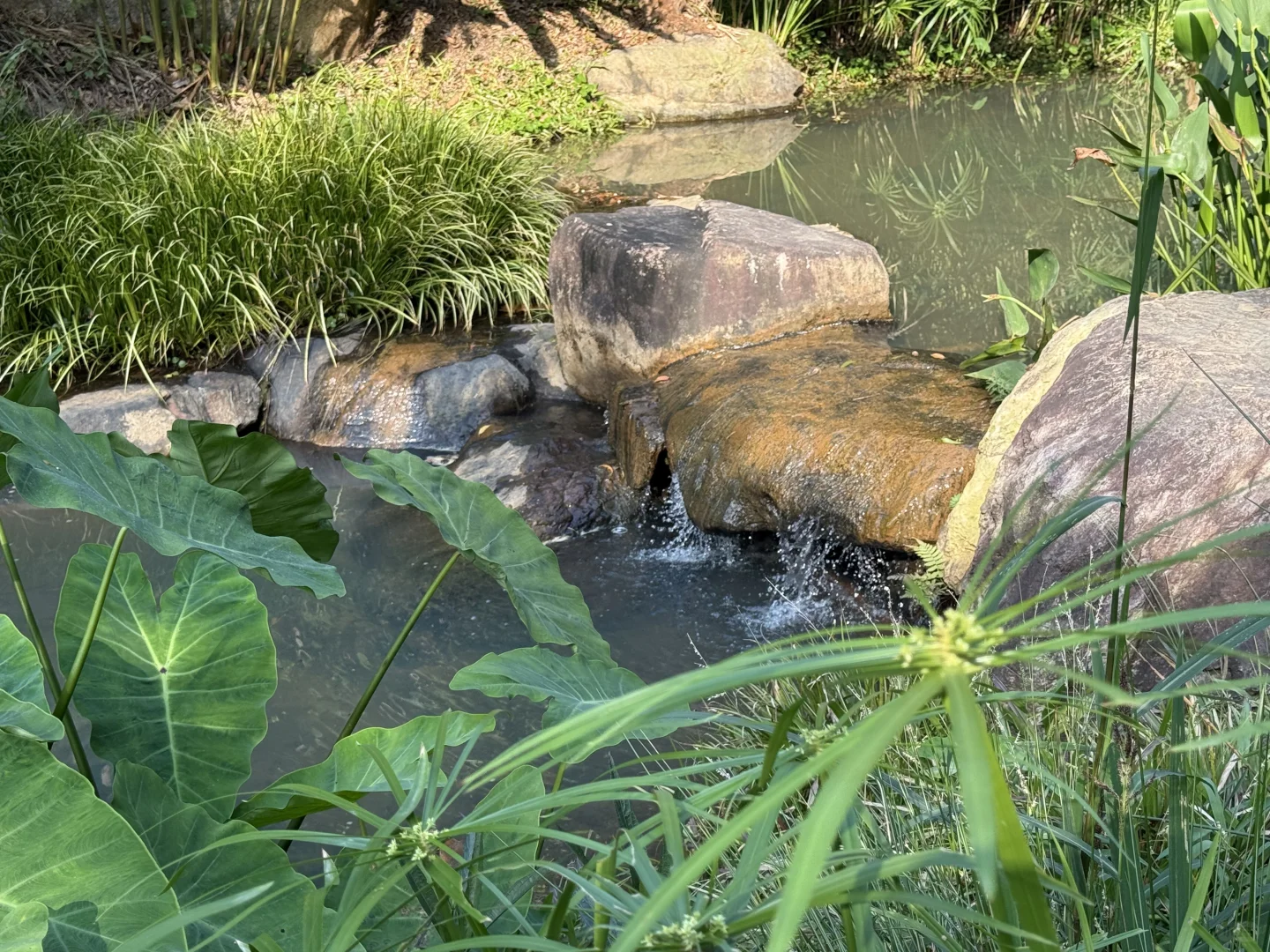 我推荐每个在广州的朋友立刻马上去