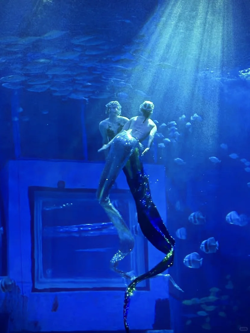 不允许你不知道❗❗广州遛娃天花板！