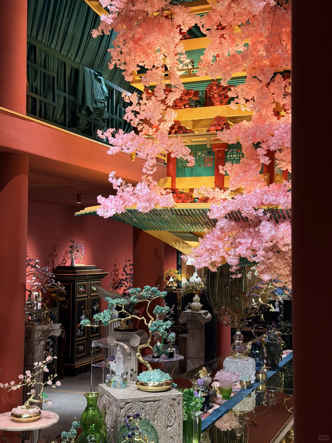 救命！对外开放啦！还免费…