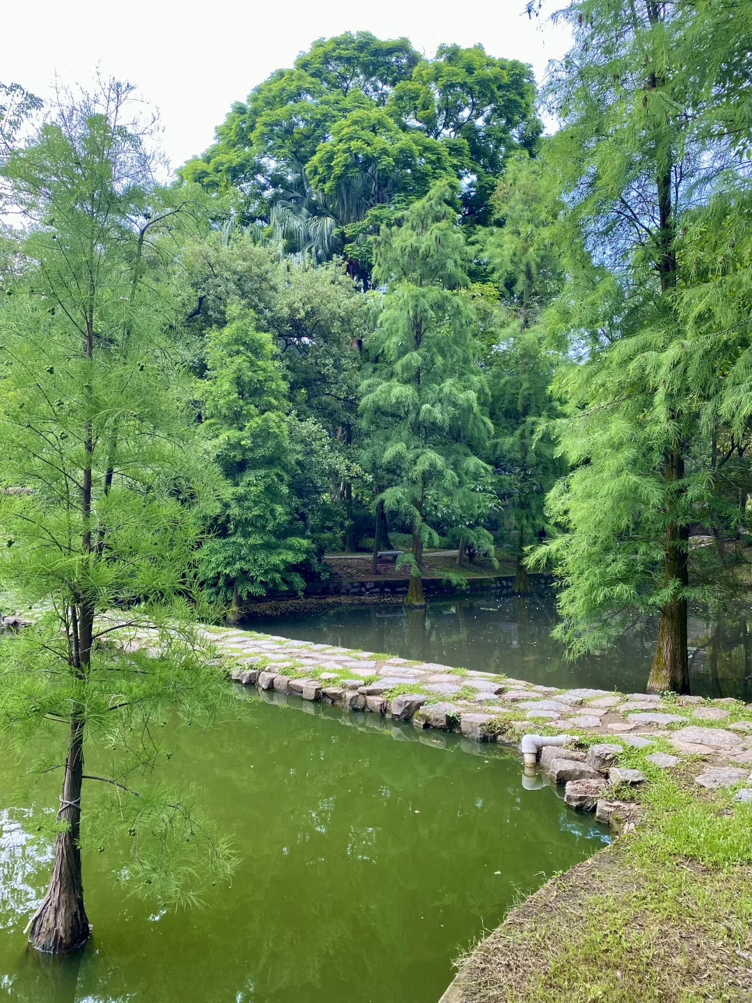 广州——白云山