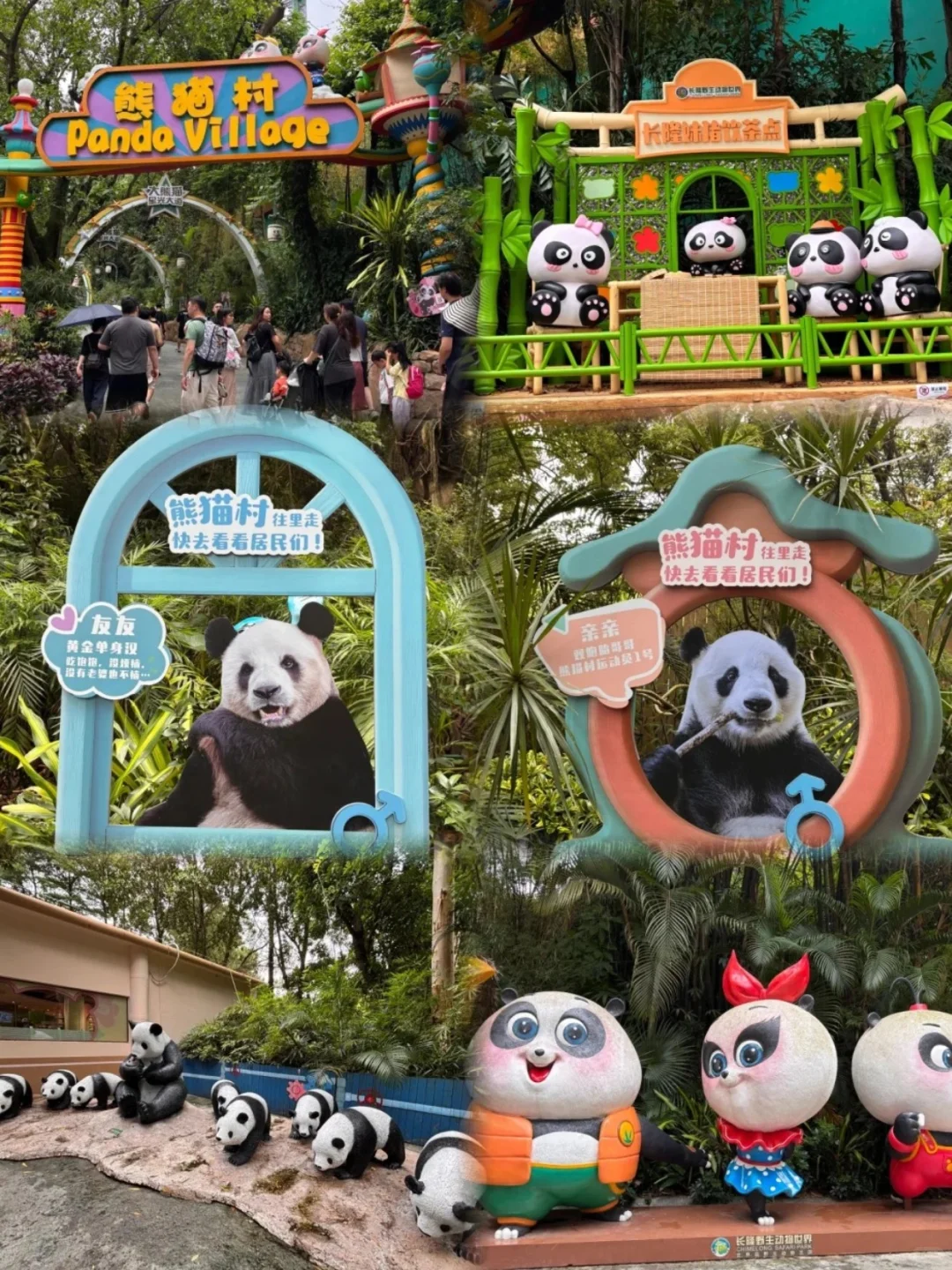 广州长隆刚回来，没做攻略千万别去❗️