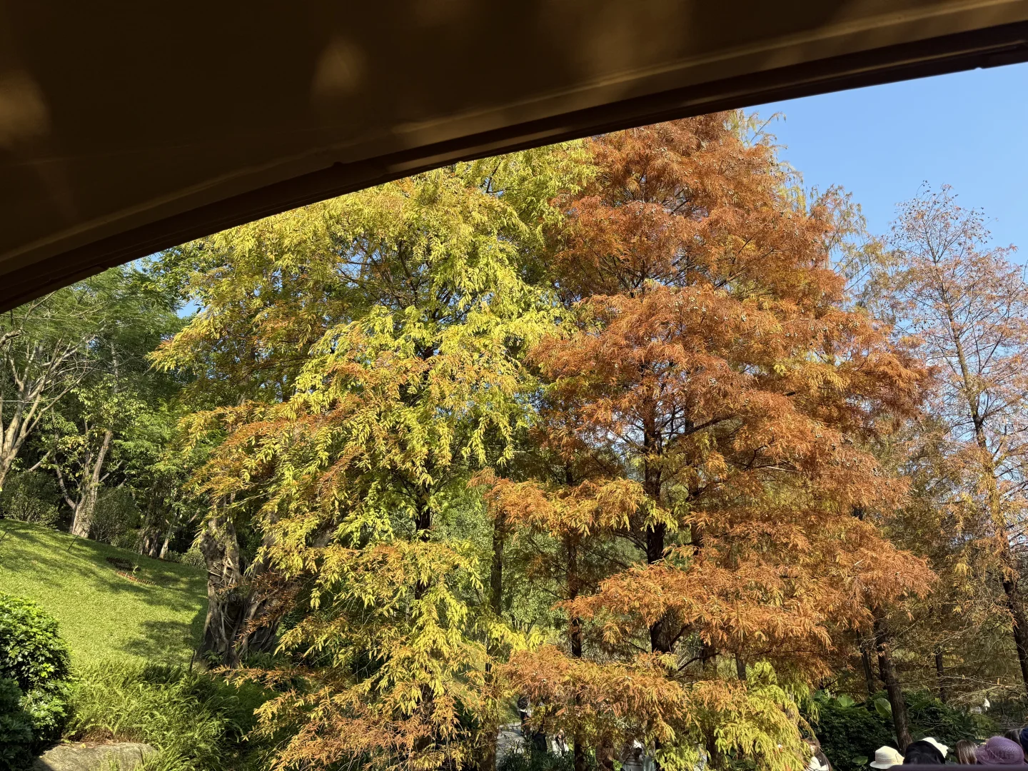 我推荐每个在广州的朋友立刻马上去