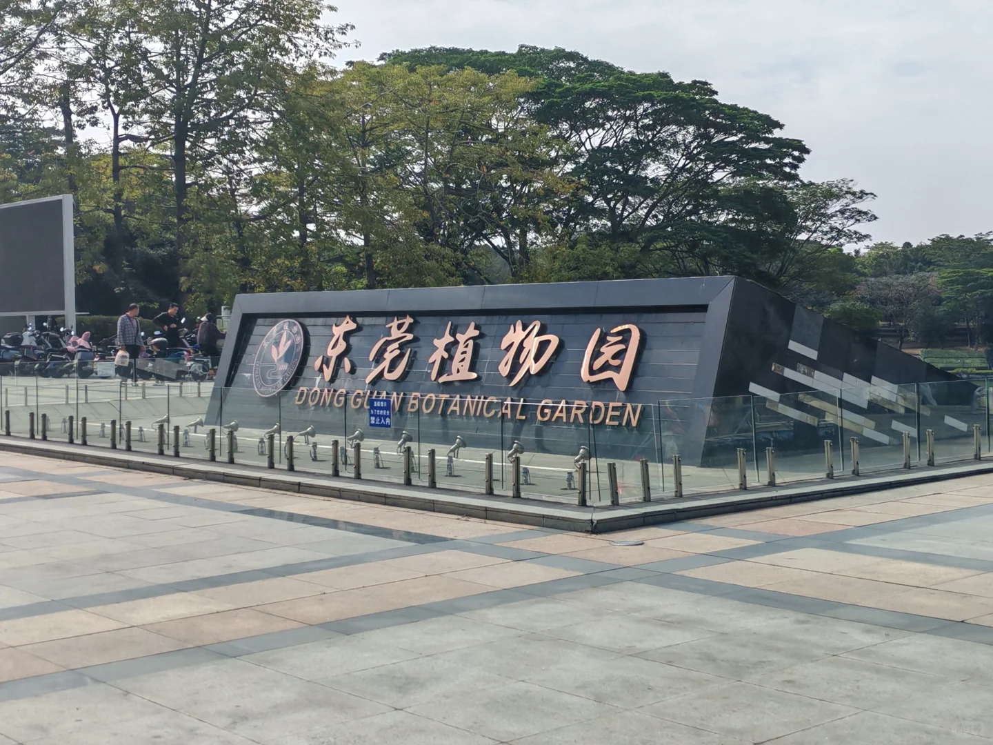 东莞植物园游玩攻略｜含网红爱心树打卡指南