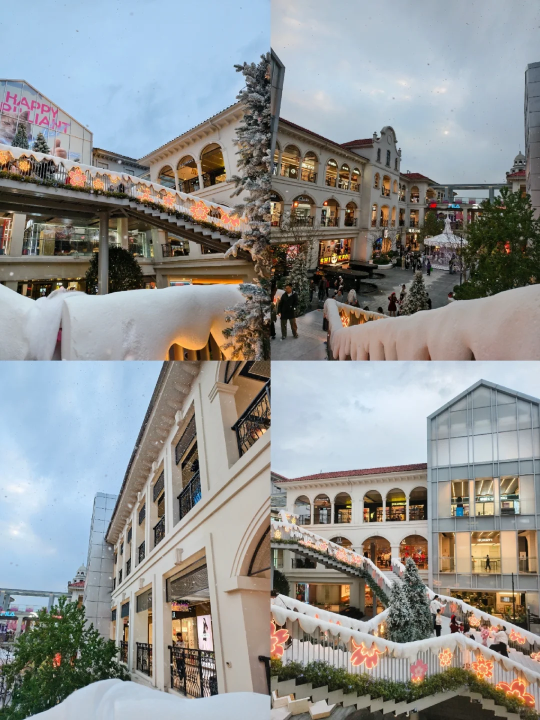 📢来啦来啦❗广州圣诞🎄免费看❄️撸宠