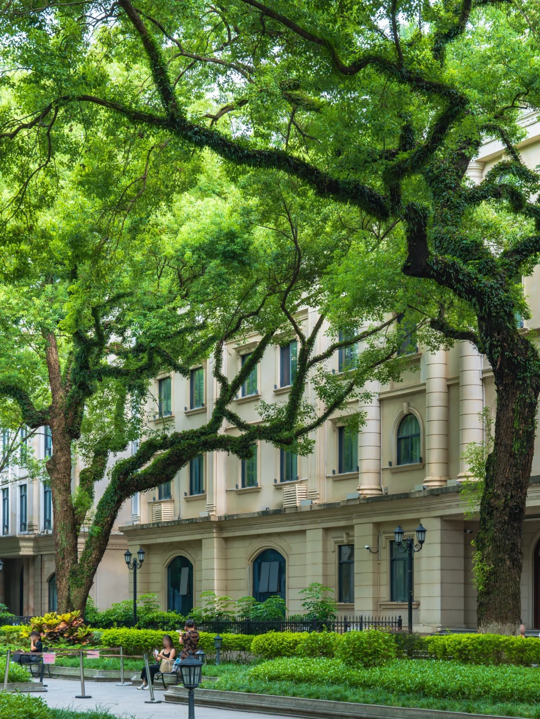 来广州一日游，强烈建议逛完这条路线再离开❗