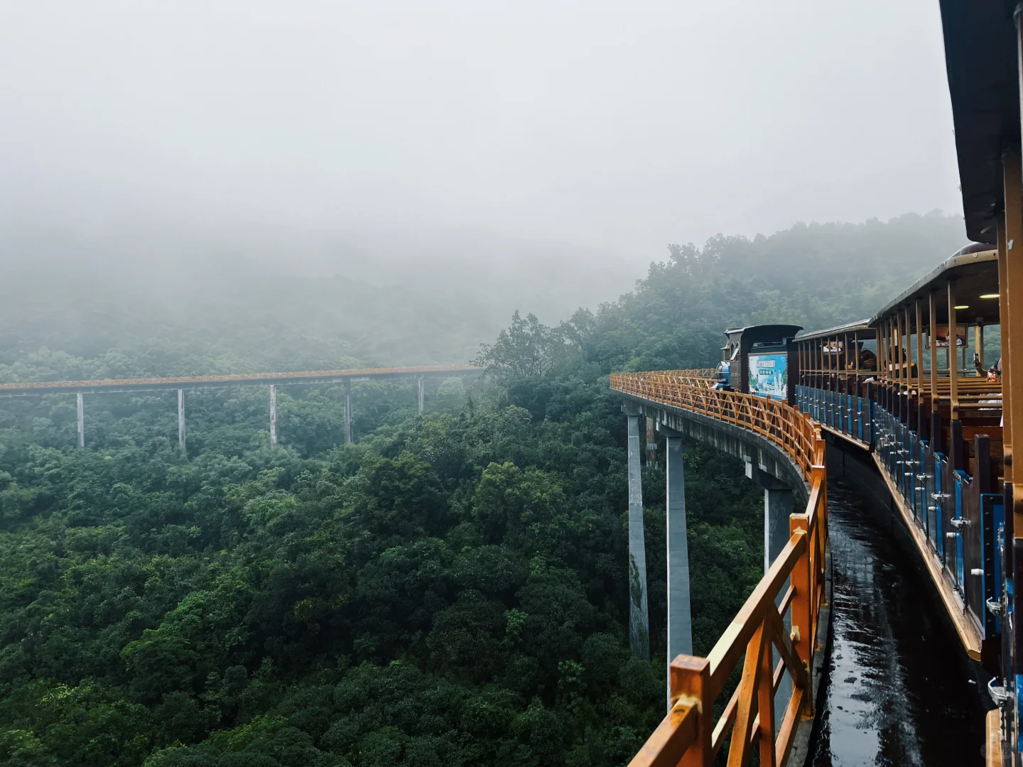 没想到！在深圳也能骑着小火车进雨林🌲