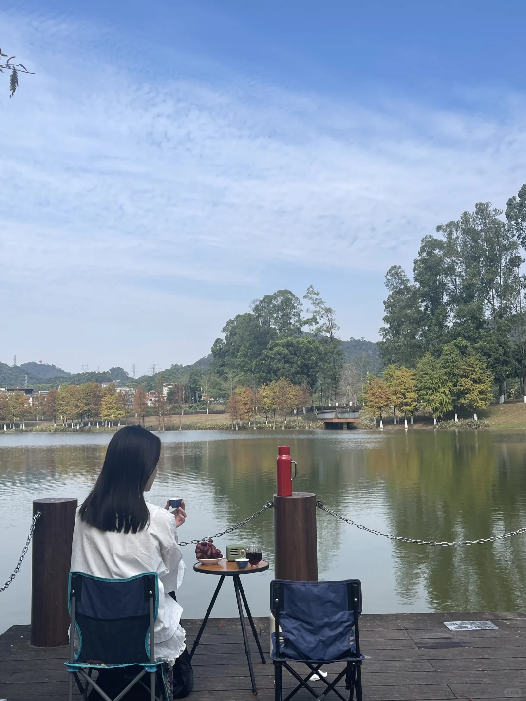 东莞的冬，藏在落羽杉的绯色里🍂