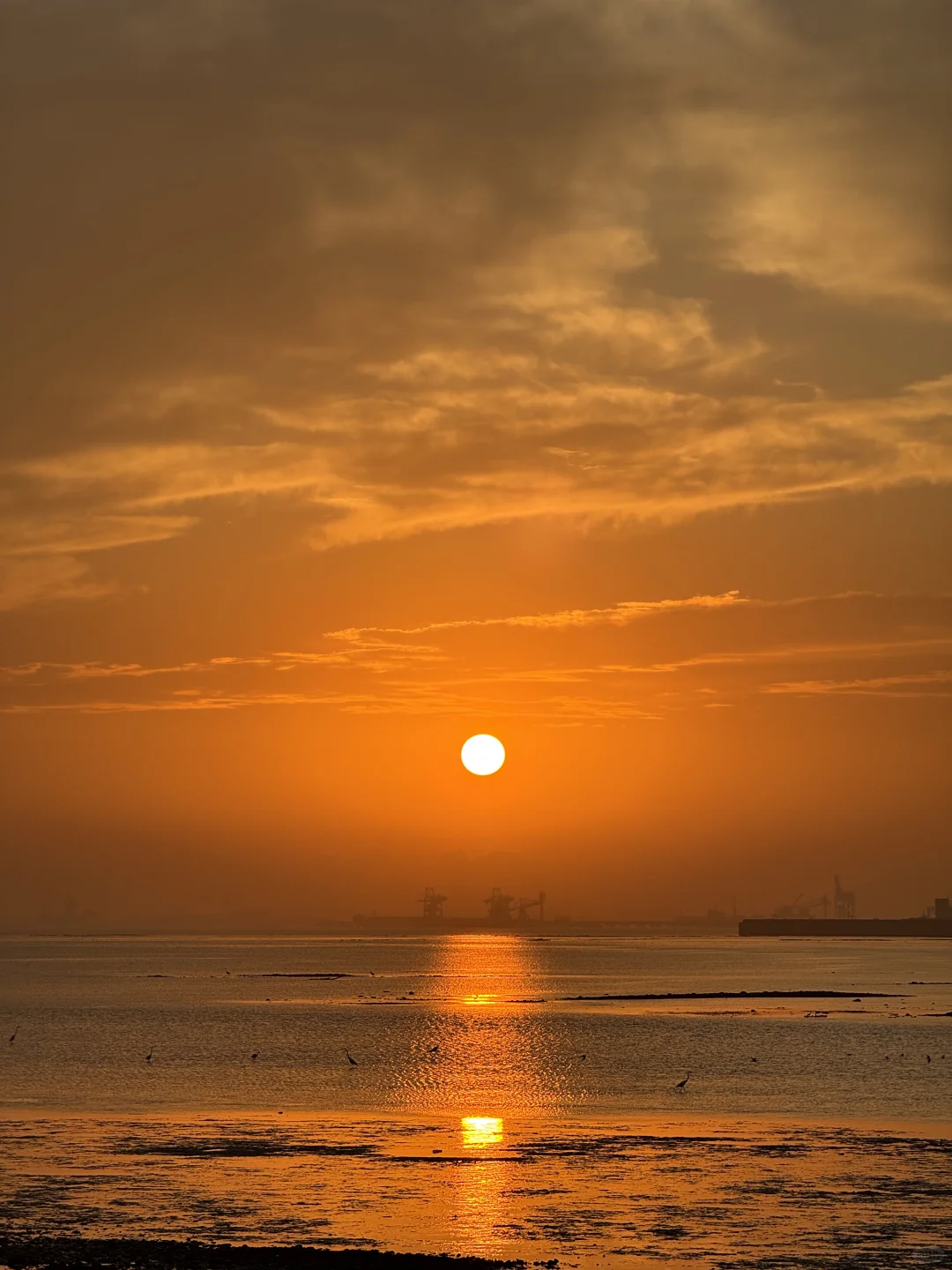 东莞·在海边看日落的18个瞬间｜live photos