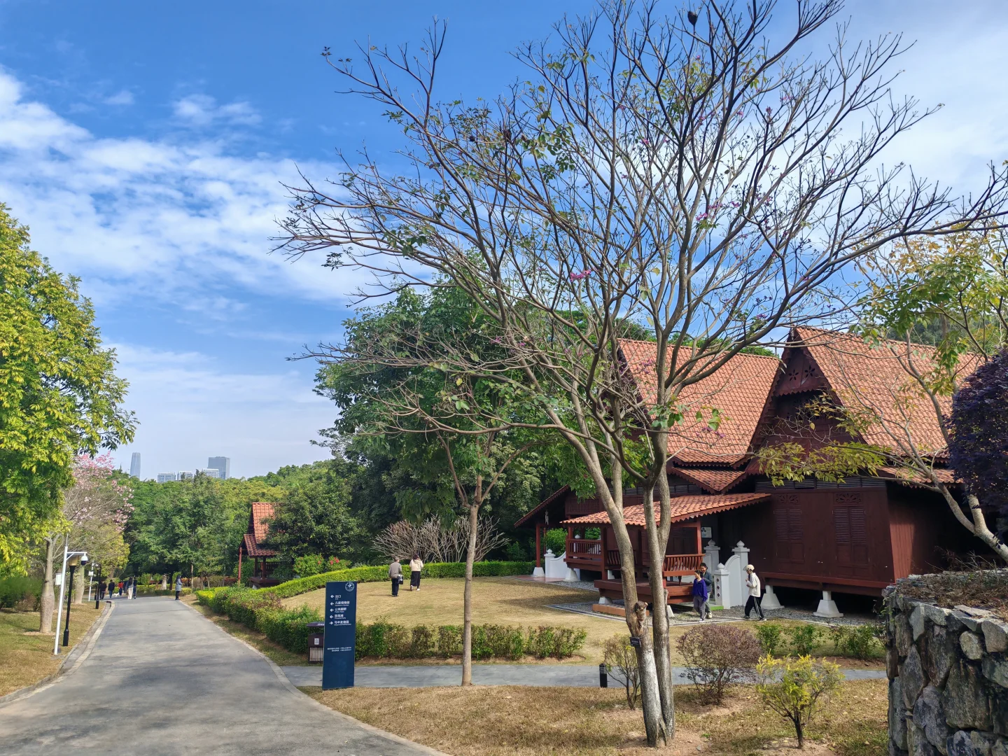 东莞植物园游玩攻略｜含网红爱心树打卡指南