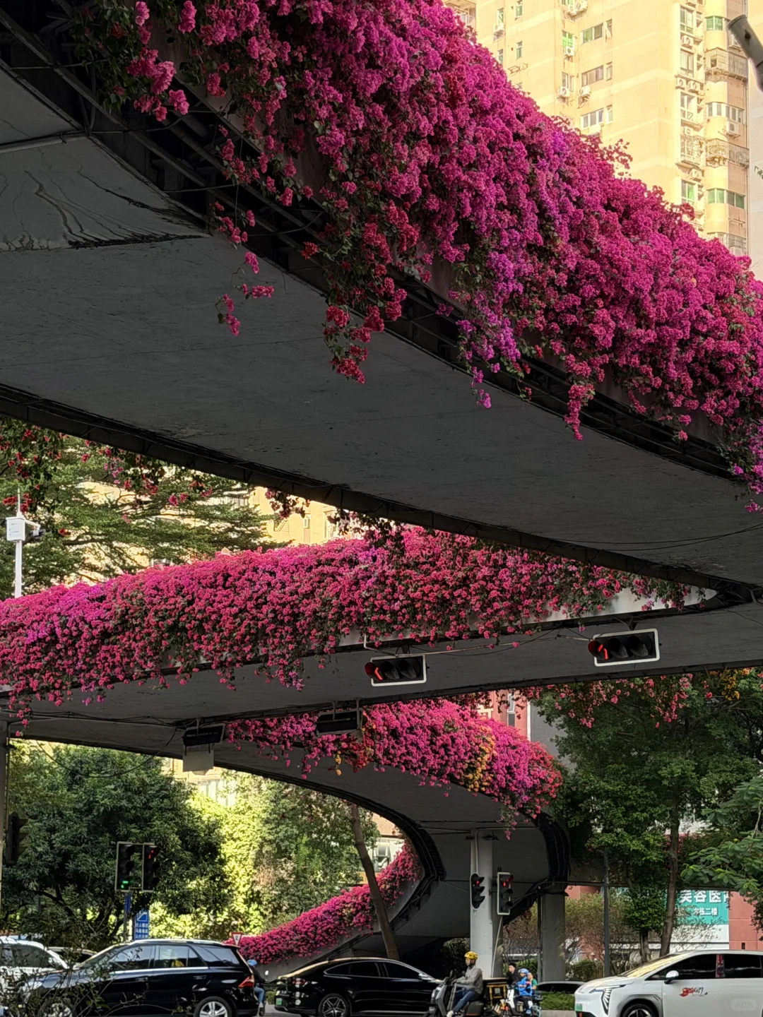 广州天桥藏着粉色惊喜！！！