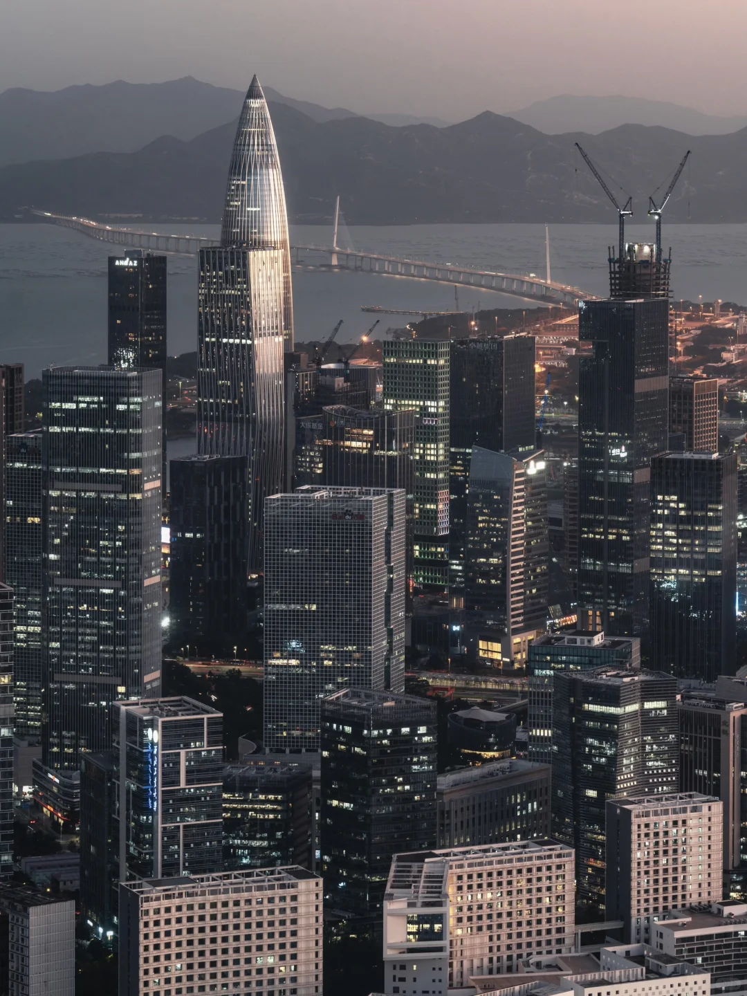 不敢想象45年前的今天，这里还是一片滩涂