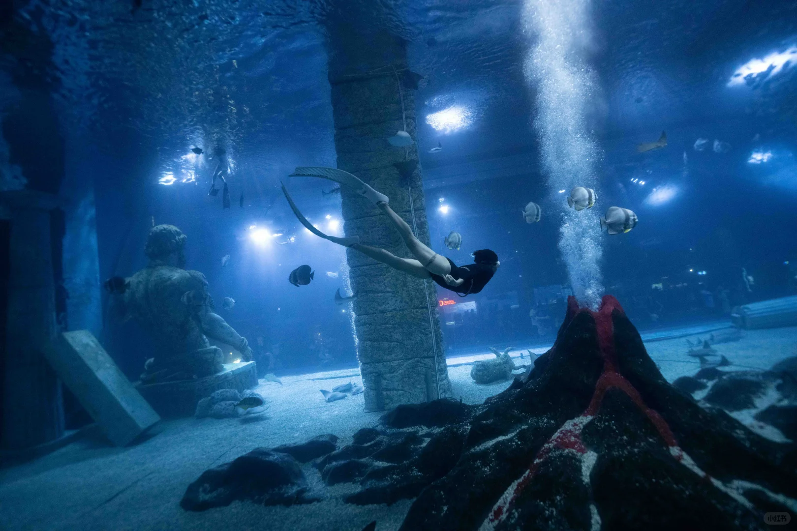 广州正佳极地海洋世界潜水中心