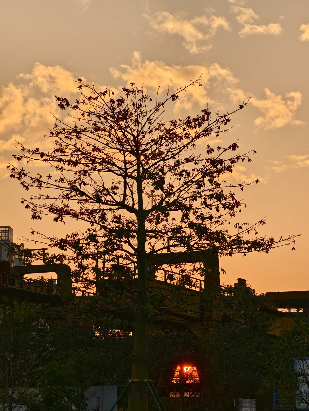 广州新地标｜船台1914拥抱无界珠江