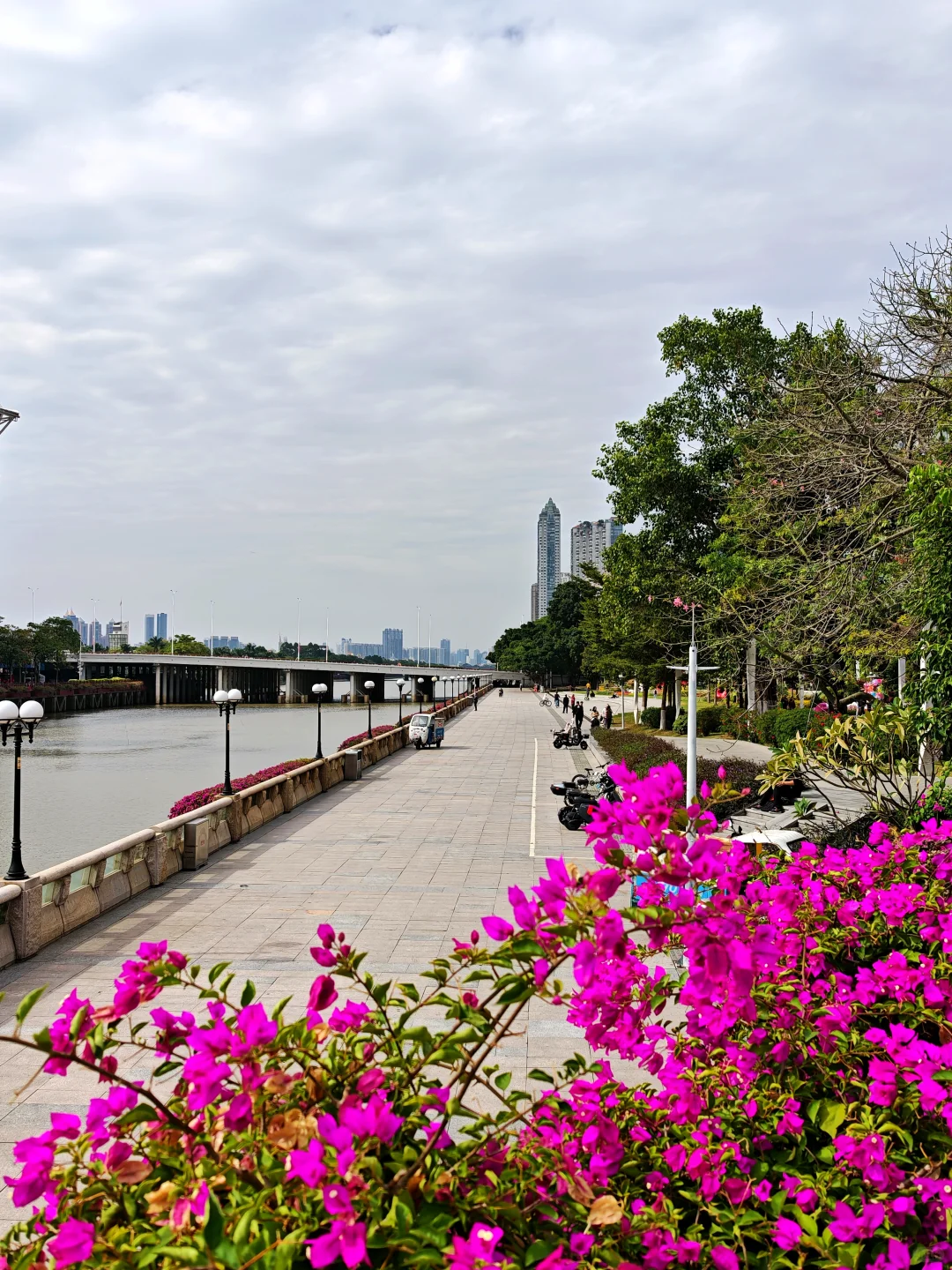 在广州最贵的地方晒太阳，是什么体验？